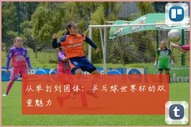 从单打到团体：乒乓球世界杯的双重魅力