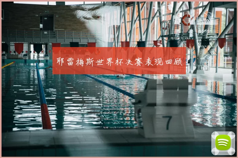 耶雷梅斯世界杯决赛表现回顾