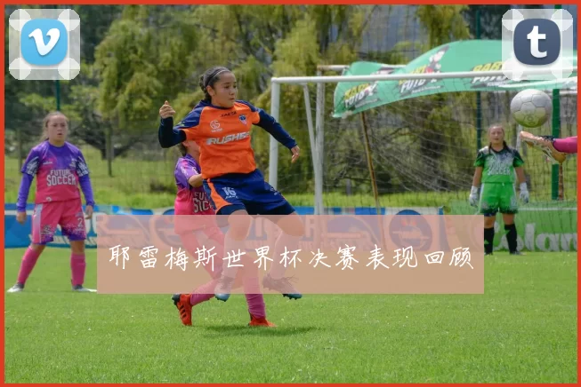 耶雷梅斯世界杯决赛表现回顾