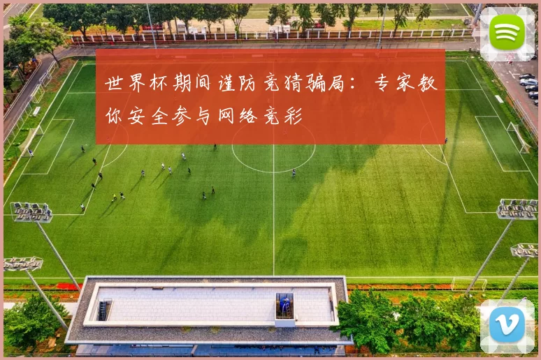 世界杯期间谨防竞猜骗局：专家教你安全参与网络竞彩