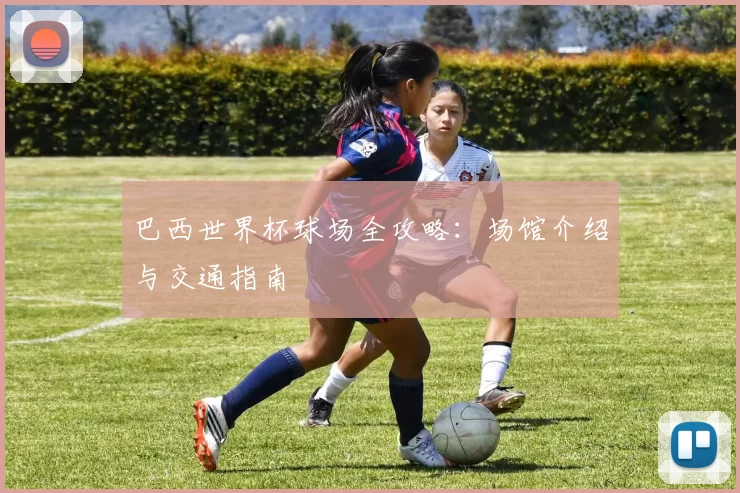 巴西世界杯球场全攻略：场馆介绍与交通指南