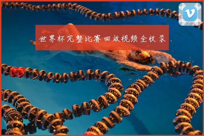 世界杯完整比赛回放视频全收录