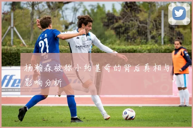 杨瀚森被称小约基奇的背后真相与影响分析