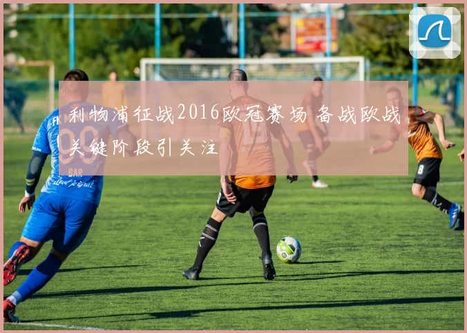 利物浦征战2016欧冠赛场 备战欧战关键阶段引关注