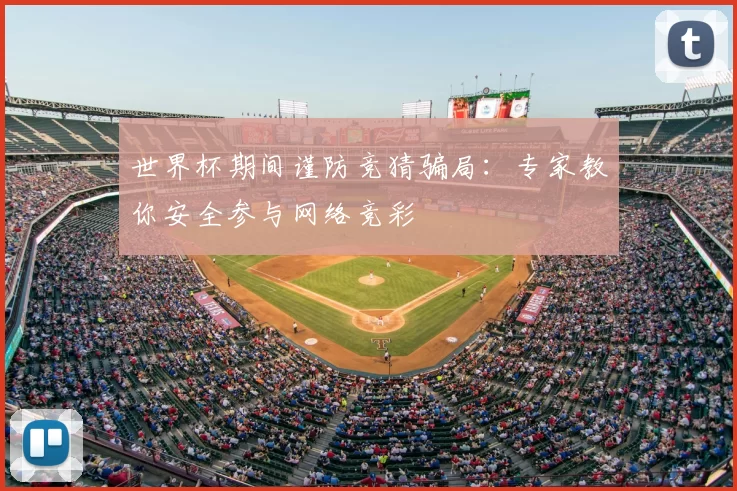 世界杯期间谨防竞猜骗局:专家教你安全参与网络竞彩